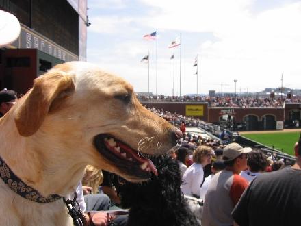 watching the game.jpg